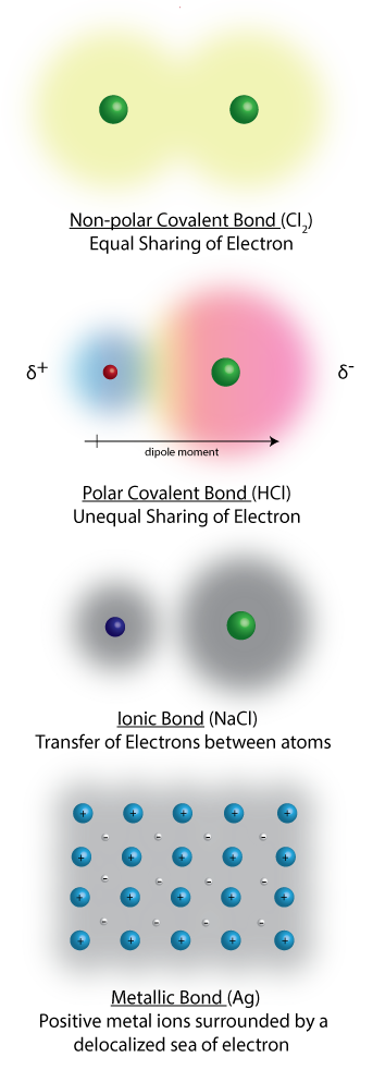 Tavole periodiche - Model Science Software